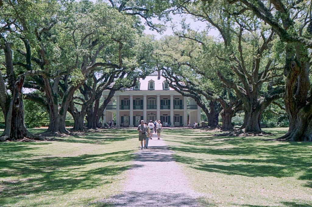 The eponymous trees of the Oak Alley Plantation, Vacherie, Louisiana, 30 April 1996