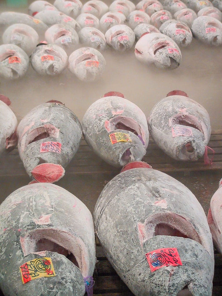 Frozen tuna, Tsukiji Market, Tokyo, Japan, 9 April 2004