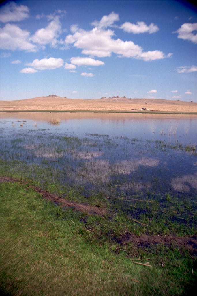 Oasis in sand, Mongolia