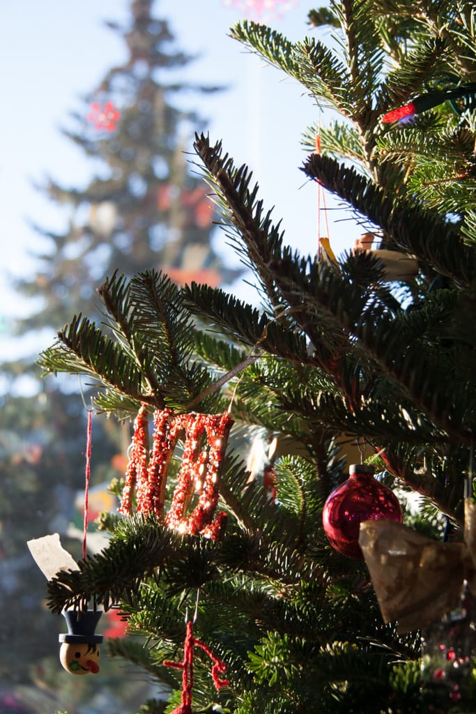 Christmas Day, Calgary, Alberta, 25 December 2006