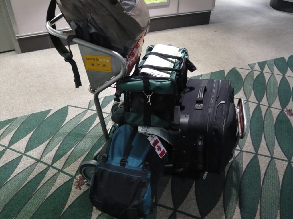Cat in a bag, Calgary Airport, Alberta, 15 June 2008