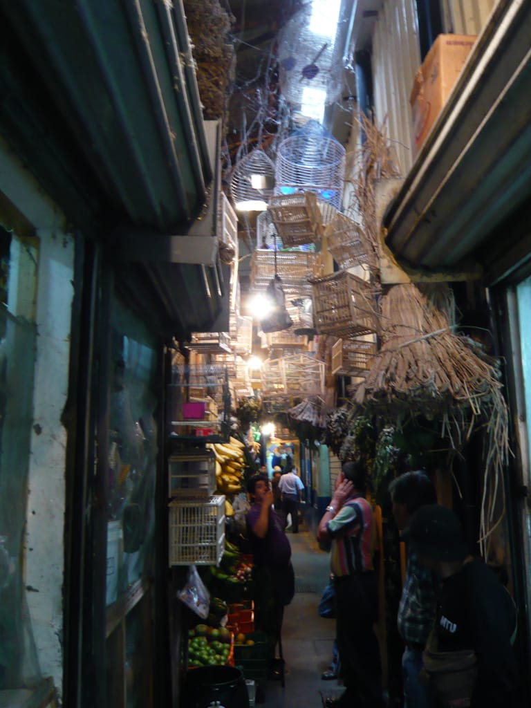 In Mercado Central, San José, Costa Rica, 28 June 2008