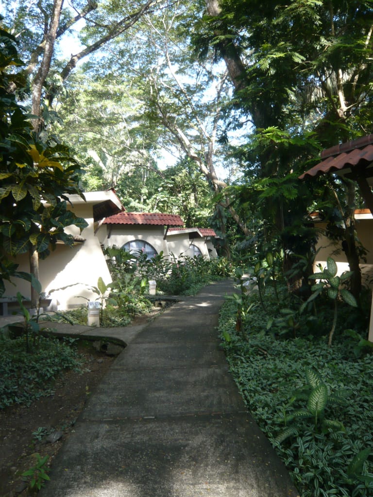 Selvamor suites, Punta Leona, Puntareanas, Costa Rica, 2 August 2008