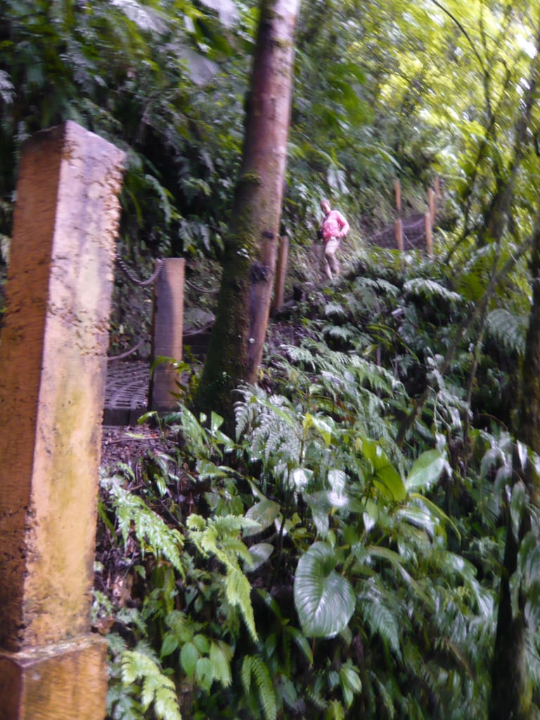 Stairs, La Fortuna Waterfall, Alajuela, Costa Rica, 19 July 2008