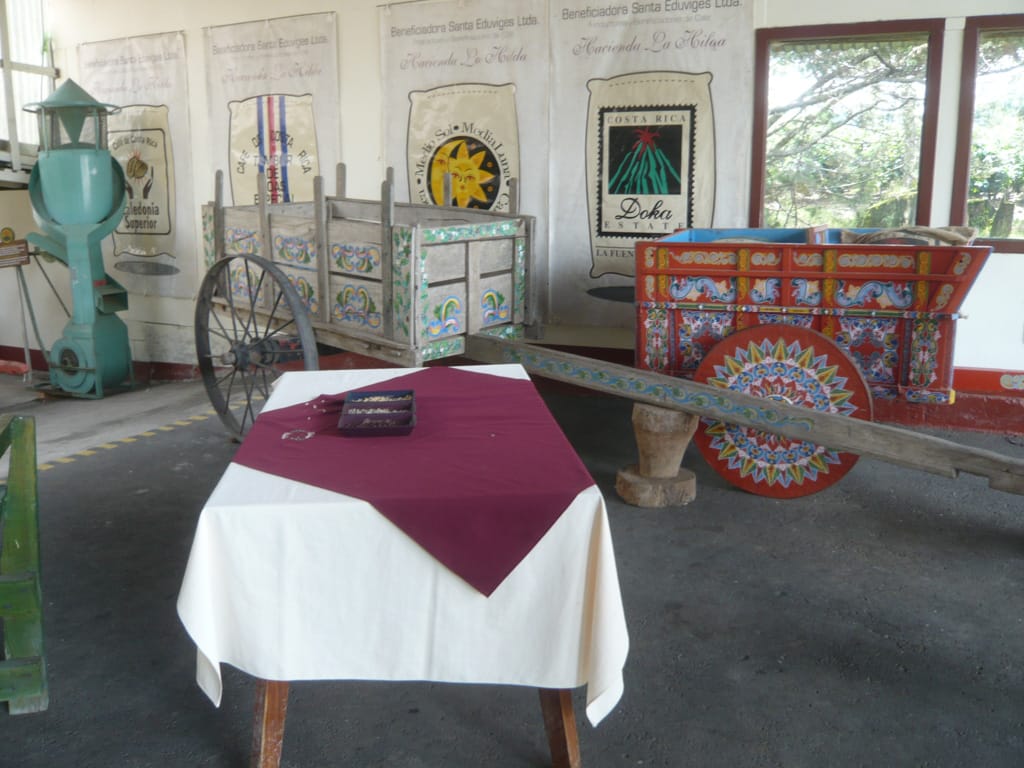 Display at Doka Estate Farm, Alajuela, Costa Rica, 16 August 2009