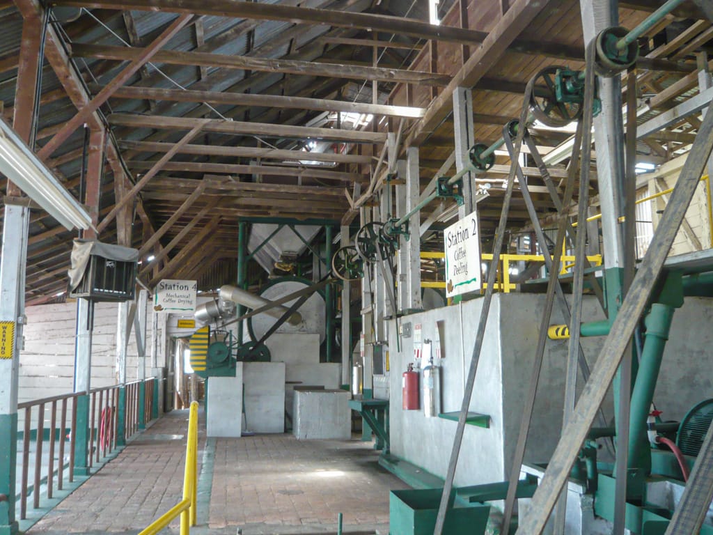 Sorting and separating building at Doka Estate Farm, Alajuela, Costa Rica, 16 August 2009