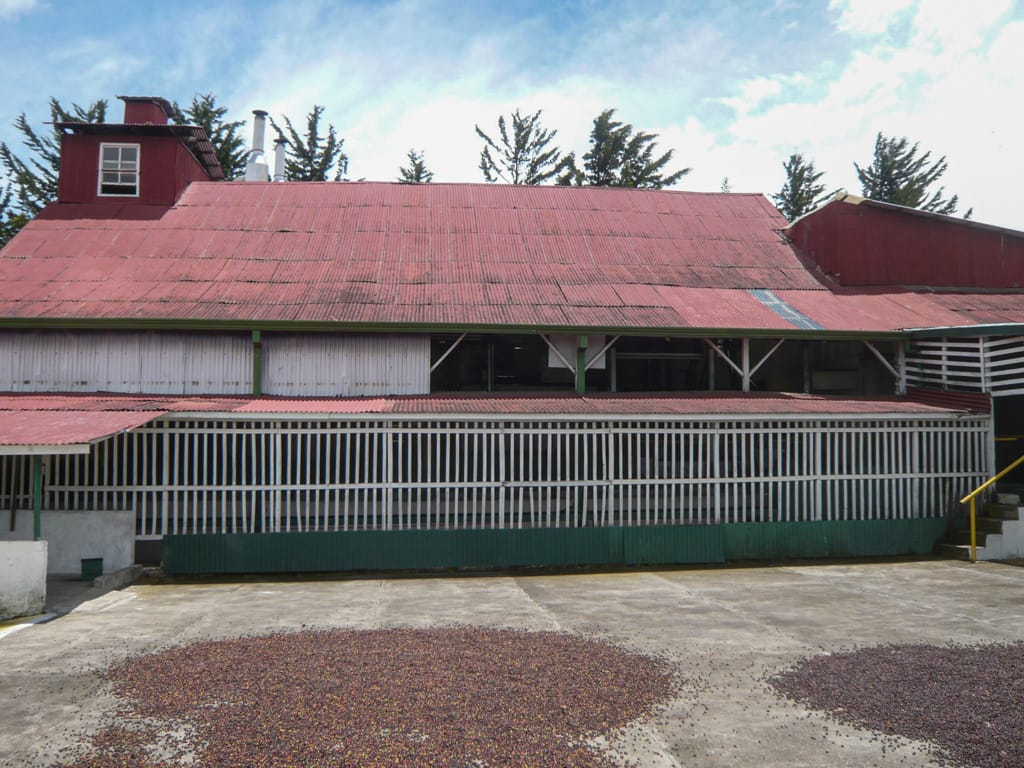 Drying coffee at Doka Estate Farm, Alajuela, Costa Rica, 16 August 2009