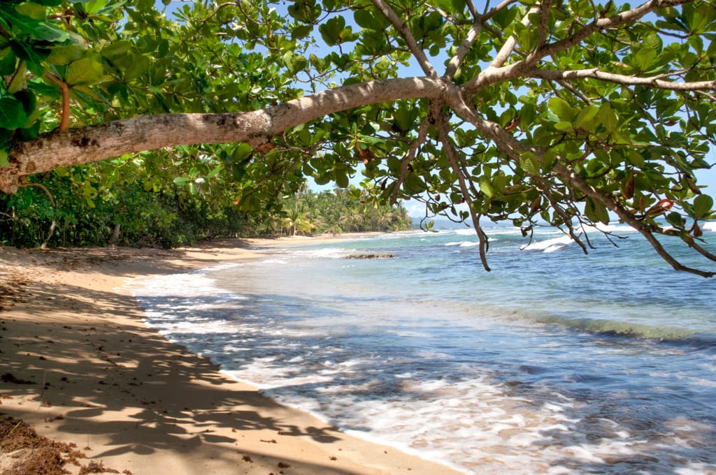 Playa Chiquita, Puerto Viejo, Limón, Costa Rica, 15 October 2009