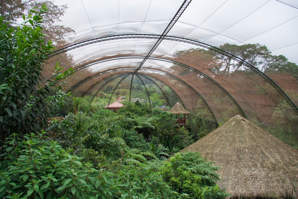 Aviary, La Paz Waterfall Gardens, Alajuela, Costa Rica, 31 October 2009