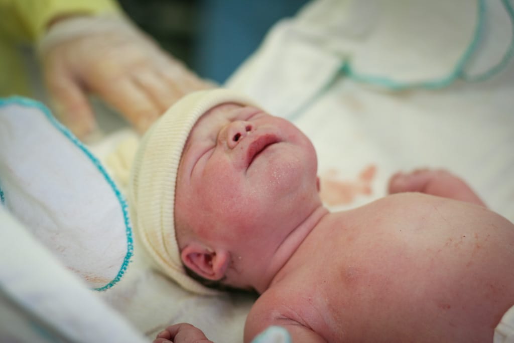 Choo Choo, Foothills Medical Centre, Calgary, Alberta, 18 March 2010
