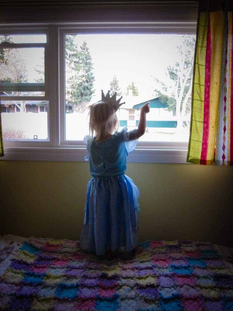 Monkey looking out her new window, Westgate, Calgary, Alberta, 28 October 2010