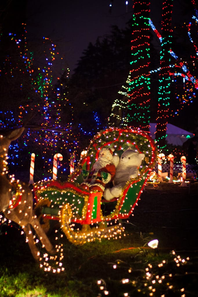 Sleigh lights, Stanley Park, Vancouver, British Columbia, 23 December 2010
