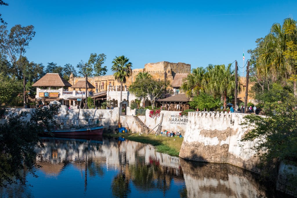 Harambe at Animal Kingdom, Walt Disney World, Orlando, Florida, 22 December 2016