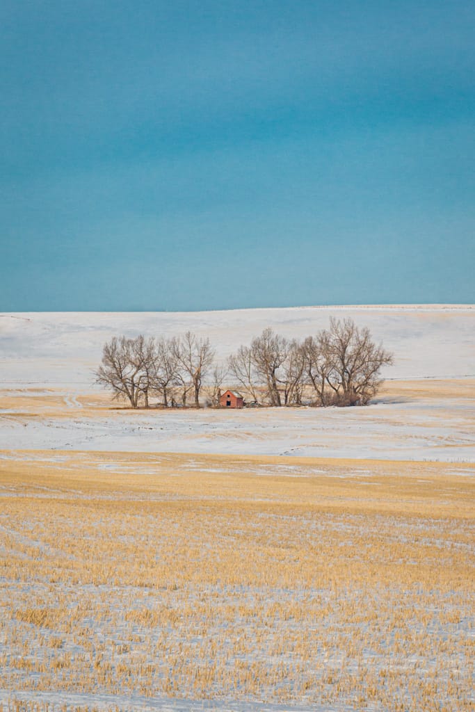 Cold January morning, west of Drumheller, Alberta, 27 January 2018