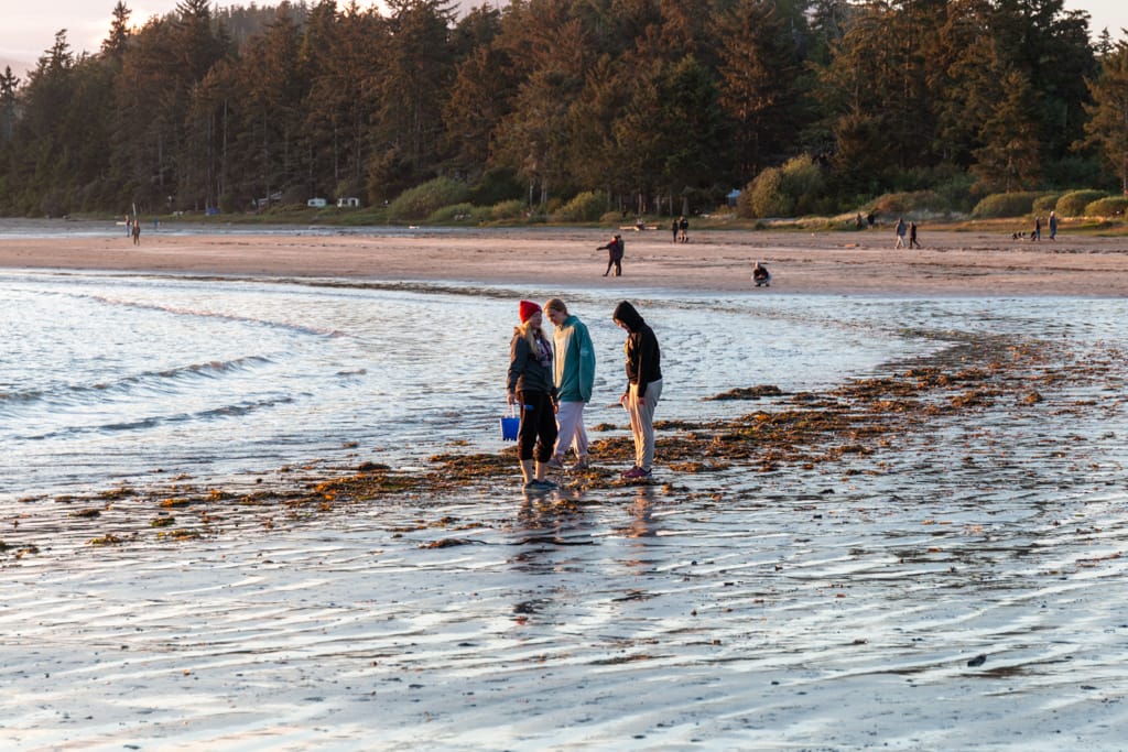 The cousins look for crab bits