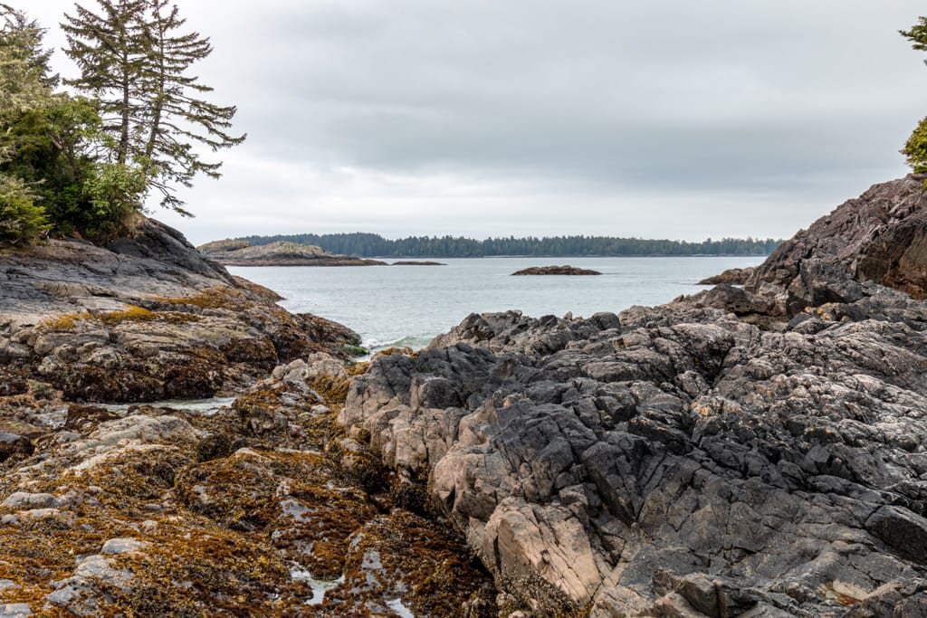Low tide at Crystal Cove