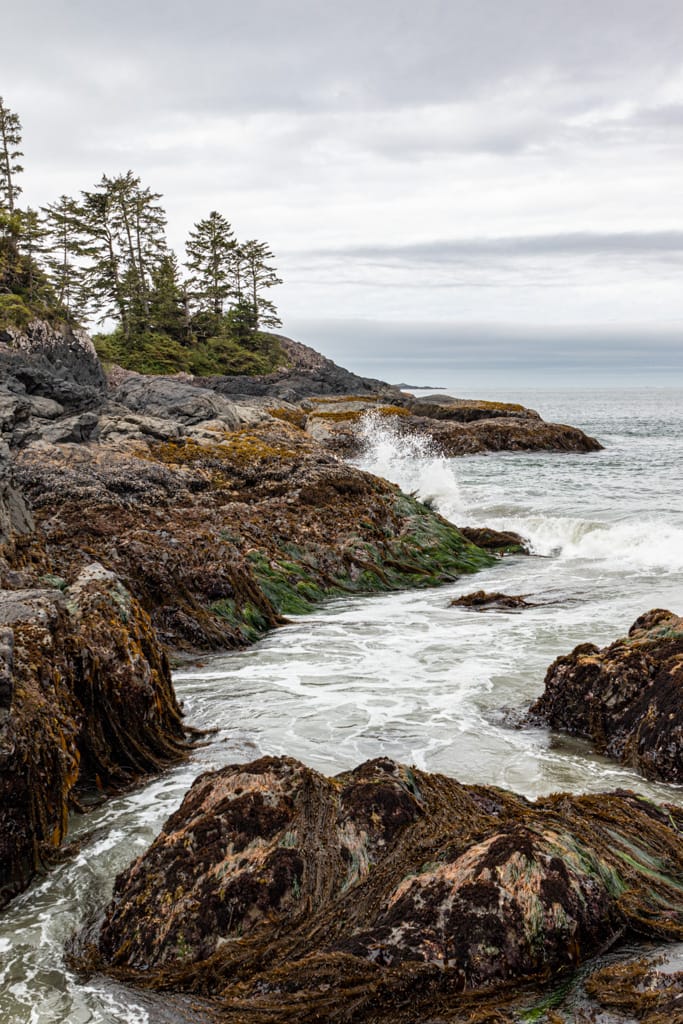 Crystal Cove’s rocky shore