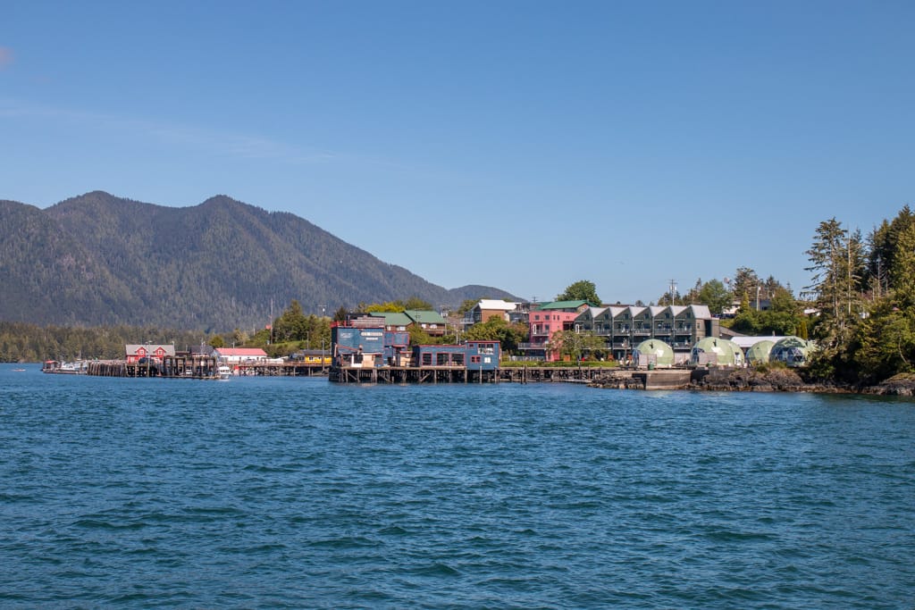Tofino harbour