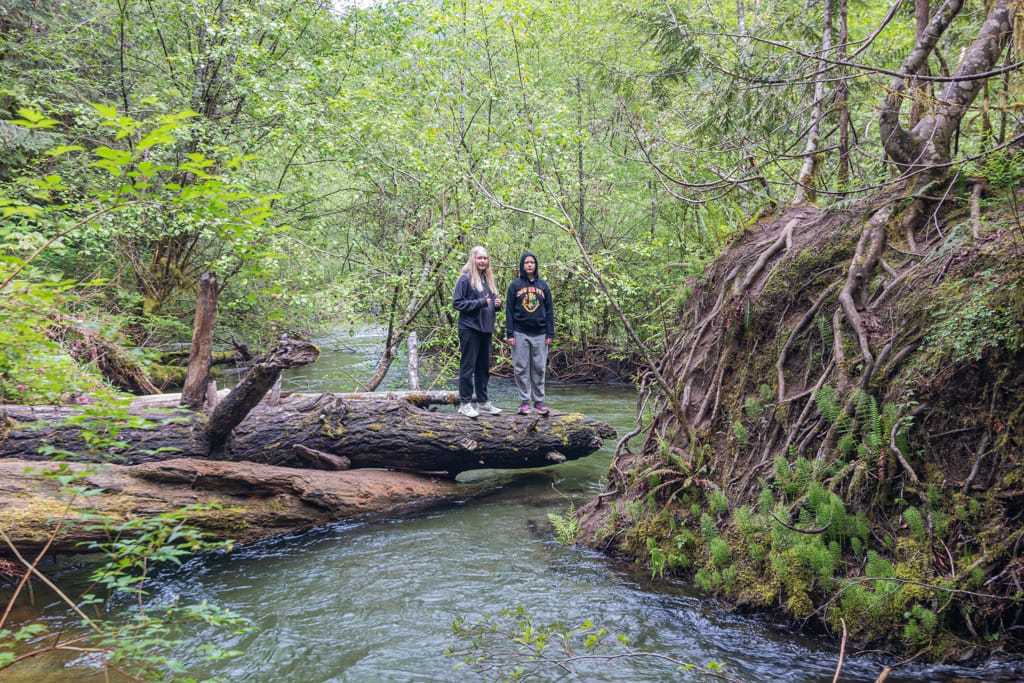 Monkey and Choo Choo, unimpressed with nature