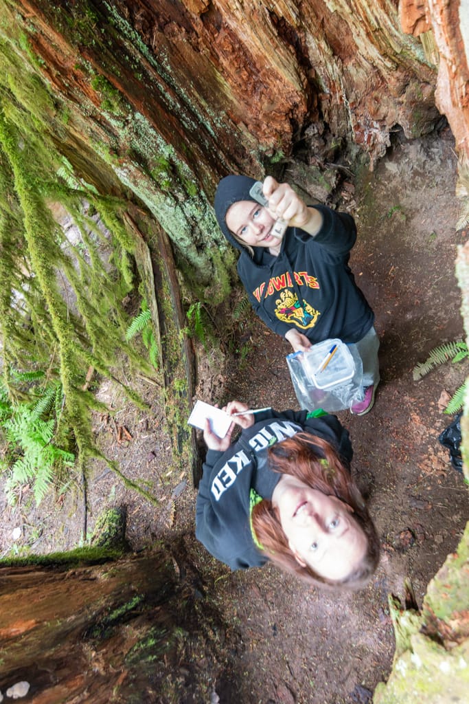 Of course there’s a geocache