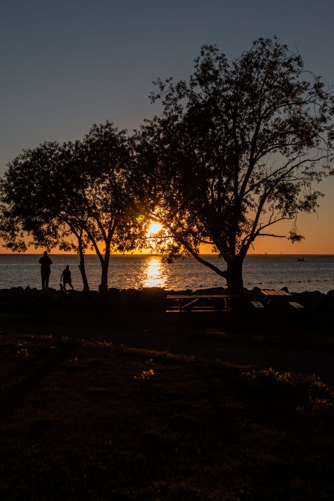 Sunset through the trees at Kinbrook Island